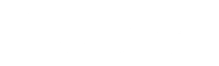 Stora logo