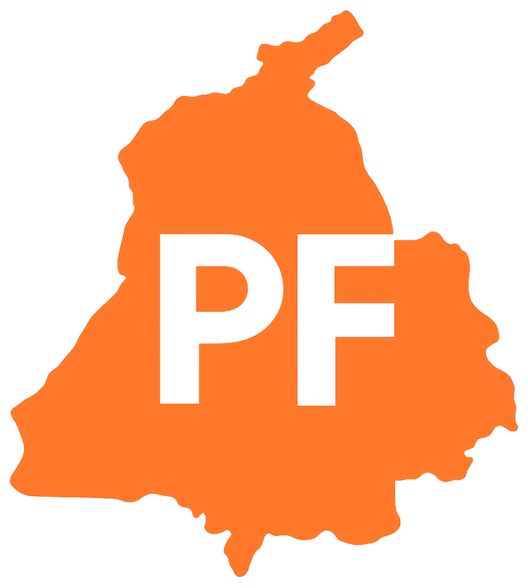 Punjab Foundation logo
