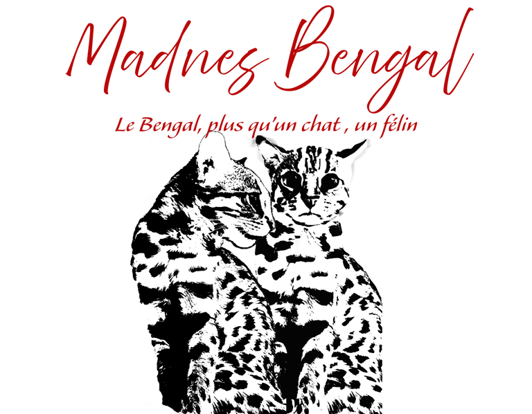 Madnes Bengal logo
