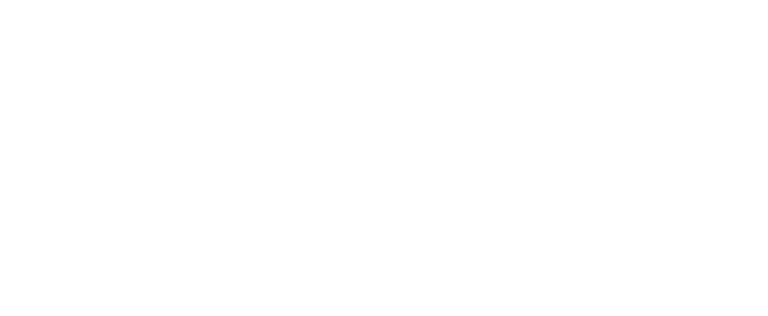 diseck logo