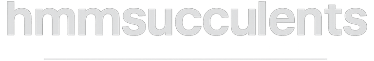 HMMSUCCULENTS logo