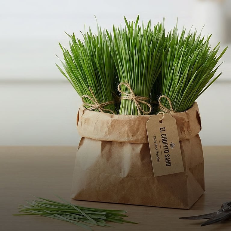 Bundles of organic green wheatgrass tied with twine in a brown paper bag for juicing.