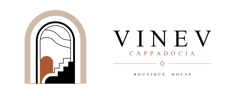 Vinev logo
