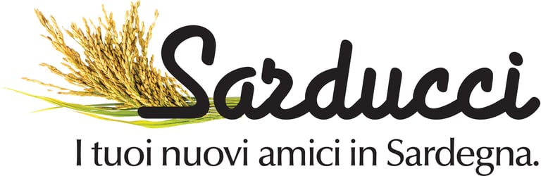 Sarducci logo