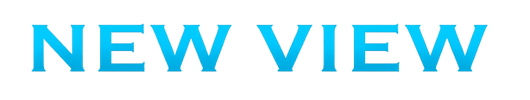 New view window cleaning services logo