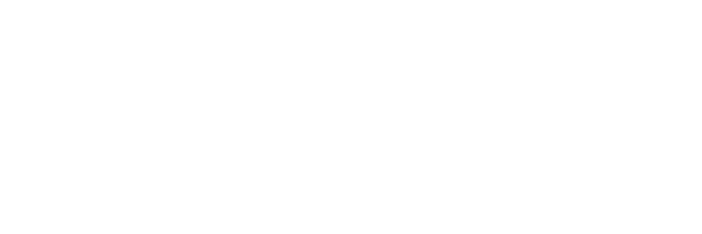 Alina Shtern logo