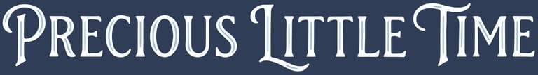 Precious Little Time logo