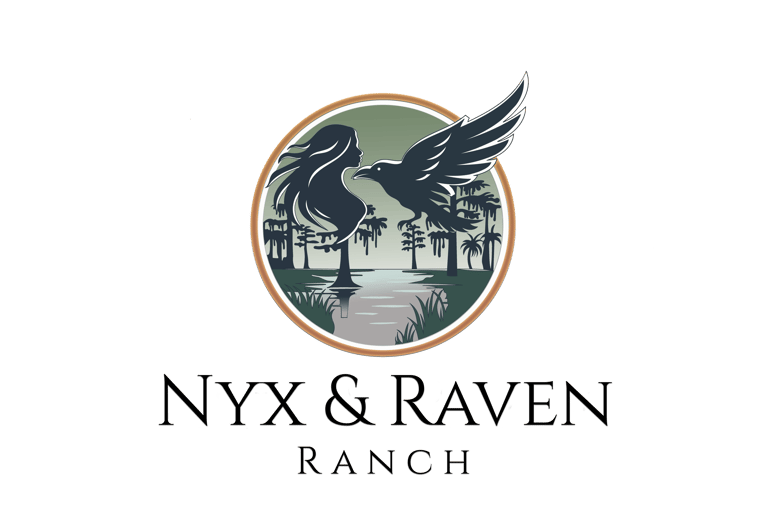 The Nyx & Raven logo