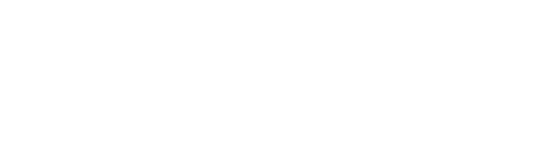 SERVIMAVI S.A. DE C.V. logo