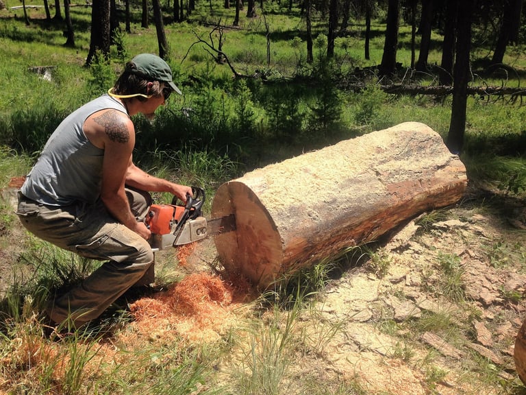 Chainsawing Log