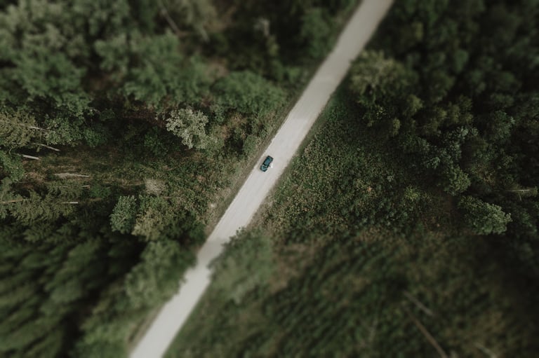 Vestuvių fotografas- reportažinė vestuvių fotosesija