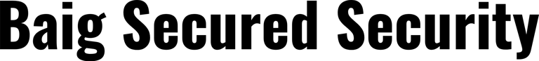 Baig Secured Security logo