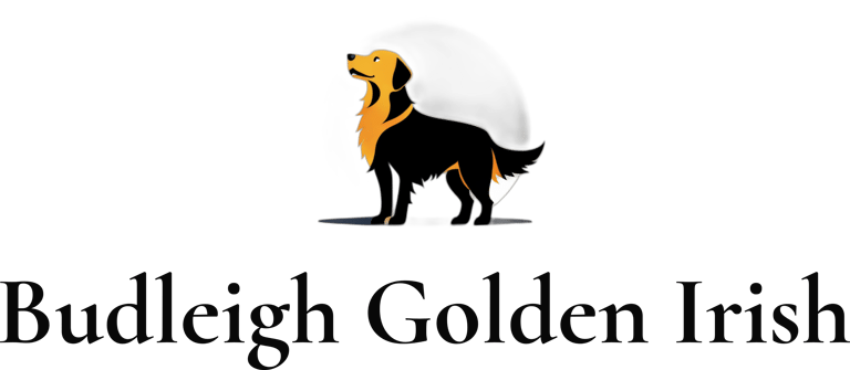 Budleigh Golden Irish logo
