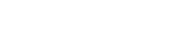 Scallex Technology Solutions logo