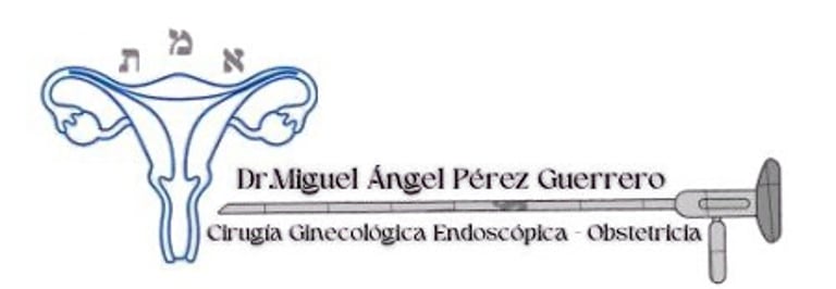 Ginecología Integral de La Mujer logo