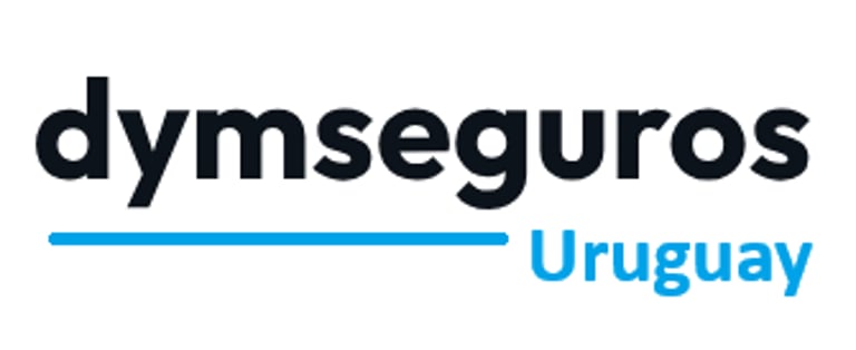 dymseguros logo