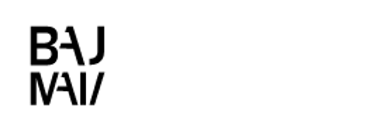 BauMann Tief- und Gleisbau GmbH logo
