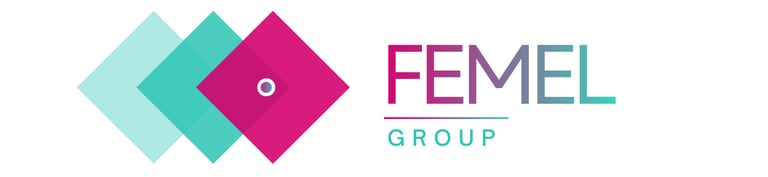 Femel Group logo