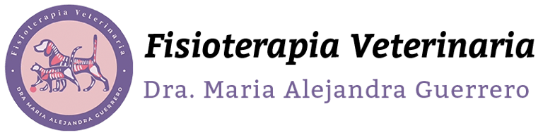 Ozonoterapia Veterinaria a Domicilio en Pereira logo