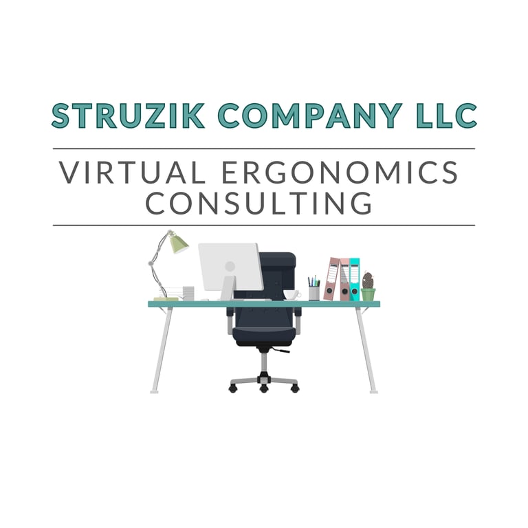 Struzik Company LLC Virtual Ergonomic Services logo