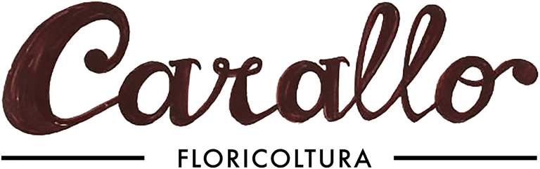 AGRICOLA CARALLO logo