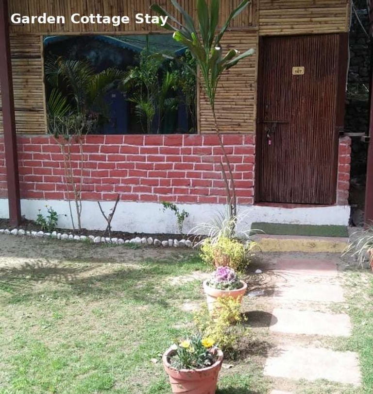 Garden cottage at Jungle Lore Resort with plants and peaceful outdoor space
