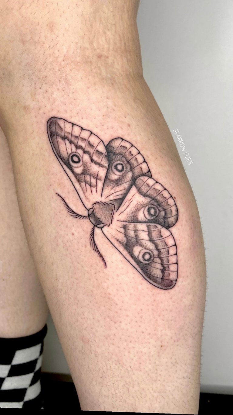 Whip-shaded moth tattoo in illustrative style
