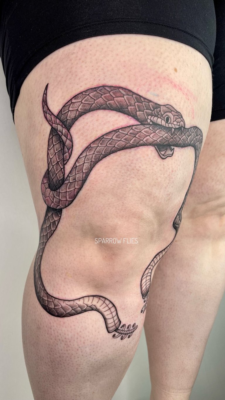 Neo-traditional snake tattoo around the knee
