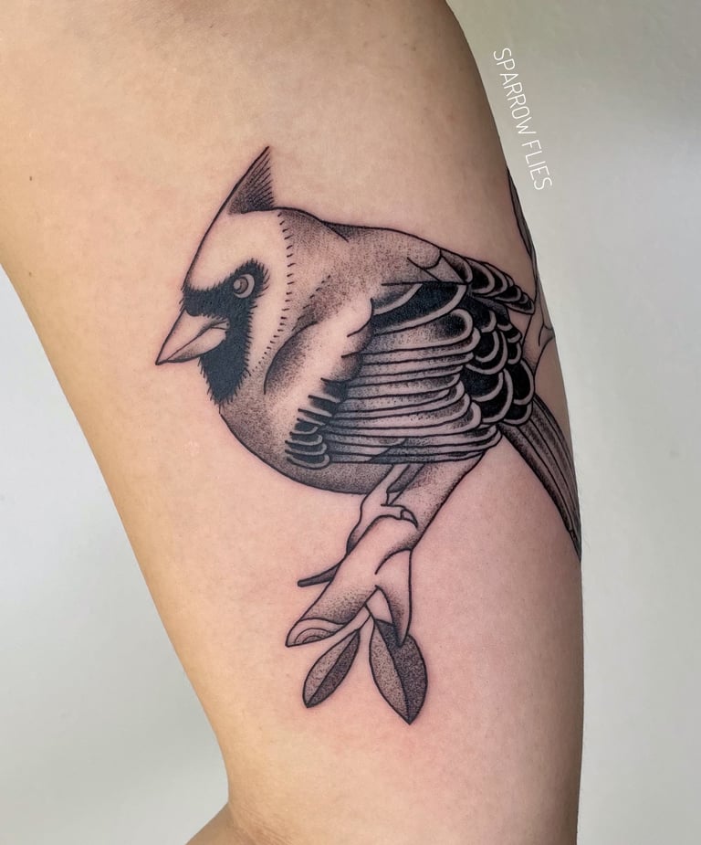Neo-traditional bird tattoo on the arm