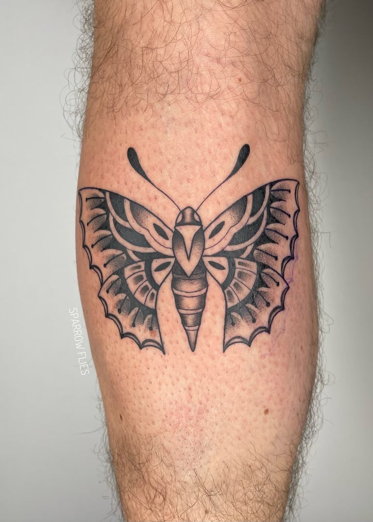 Traditional old school moth tattoo design by Agnė