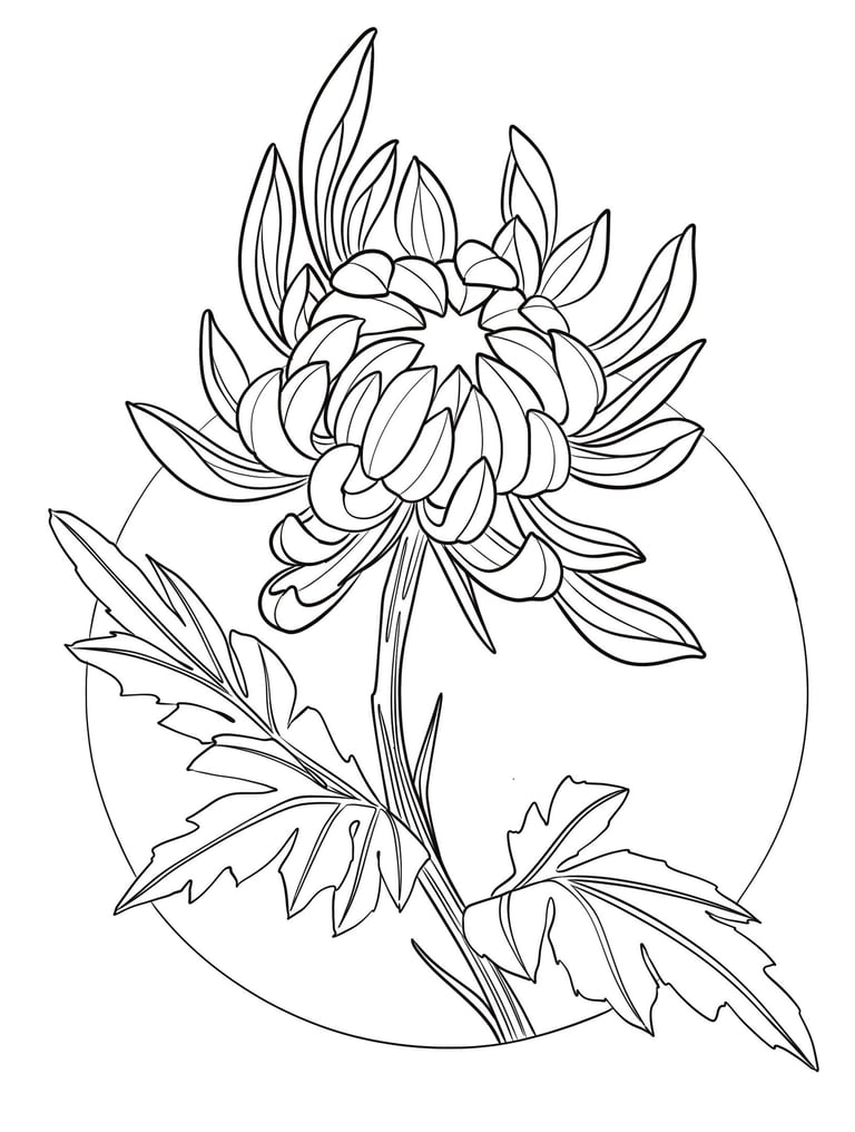 Available chrysanthemum tattoo design