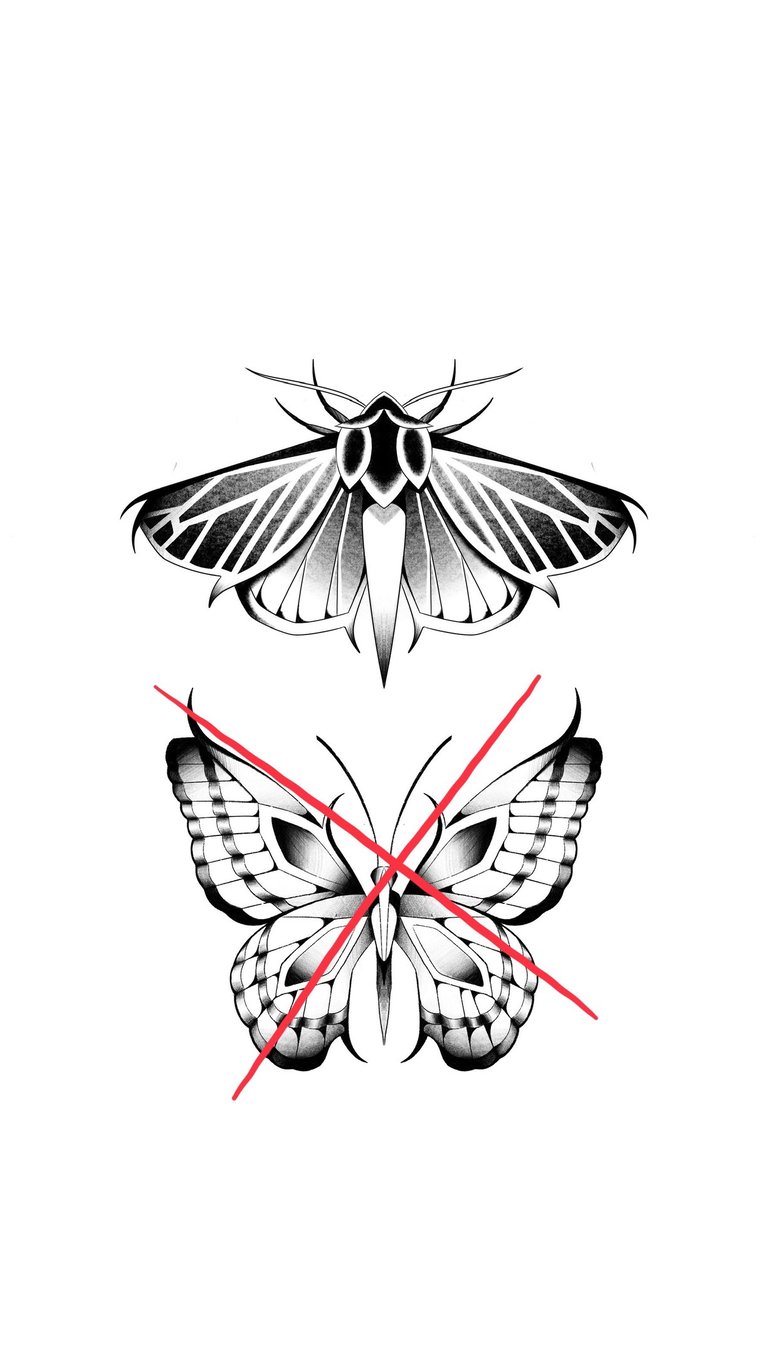 Available moth tattoo design by Agnė