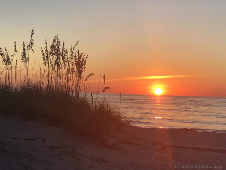 sunset in the sea oats on Siesta Key