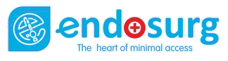 ENDO-SURG SOLUTIONS LIMITED logo