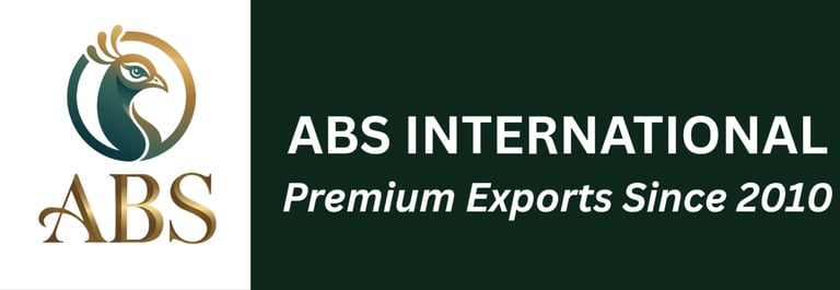 ABS INTERNATIONAL logo