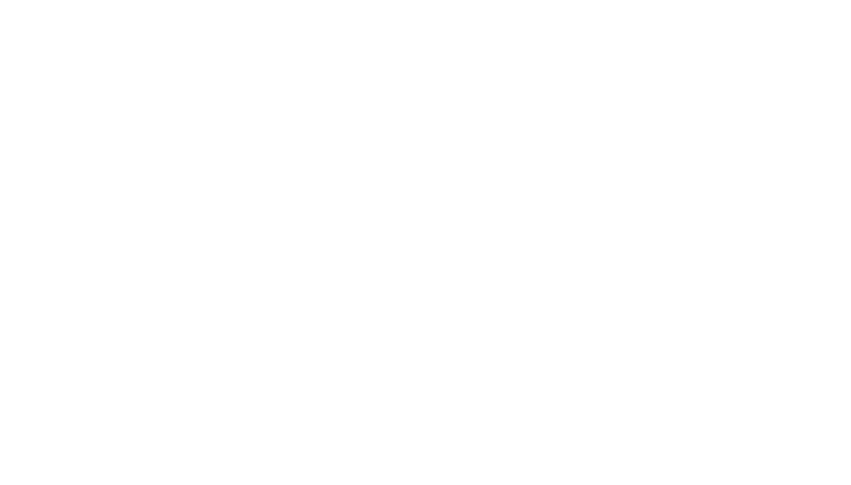 Expert Services Worldwide: Thexporter for Import E logo