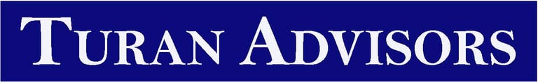 Turan Advisors logo