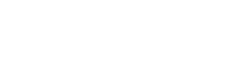 Radheya Softech Blog logo