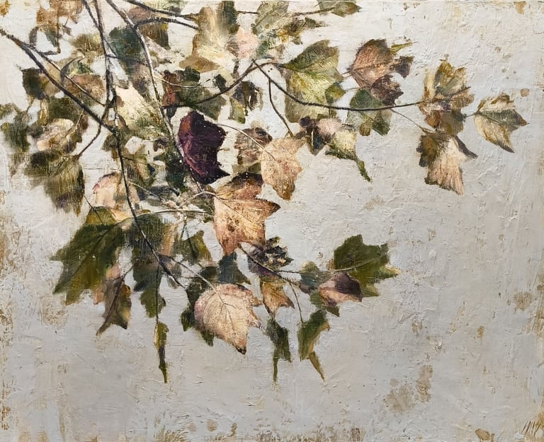 HARMONY 65 X 81