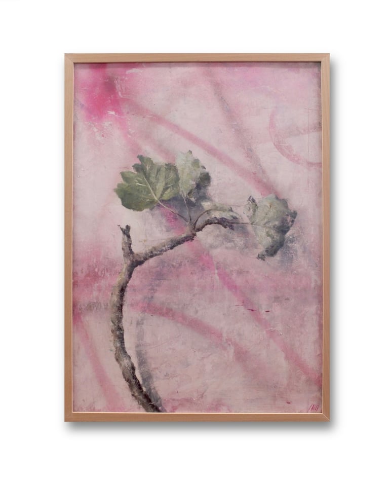PINK BOTANY 70 X 50