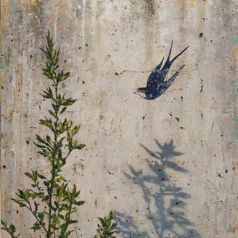SWALOW 60 X 60