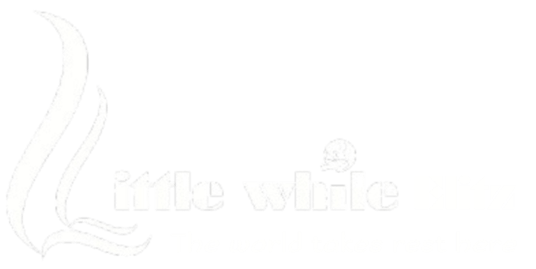 Little While logo