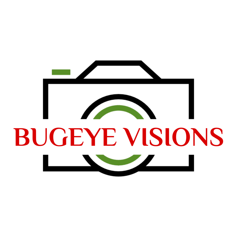 bugeye visions logo