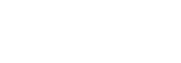 LogicLine logo