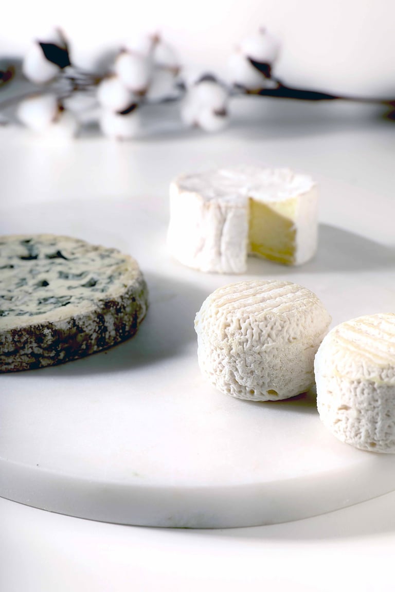 Photo Gastronomique fromage