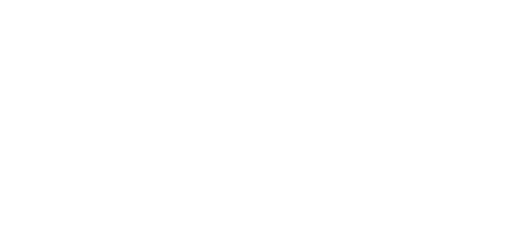 BOTerfly logo