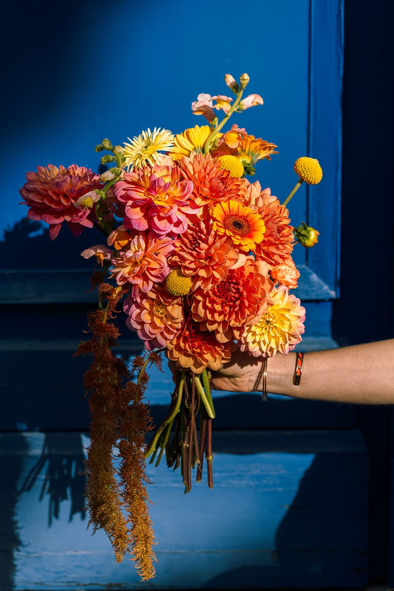 Bouquet de fleurs fraiches de saison et coloré. Photo Motoucourt Dahlia, amaranthe. 