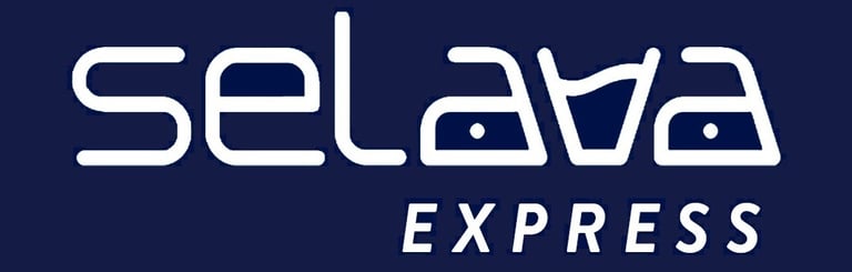 Selava Express Blumenau logo