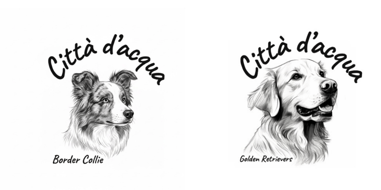 città d'acqua logo