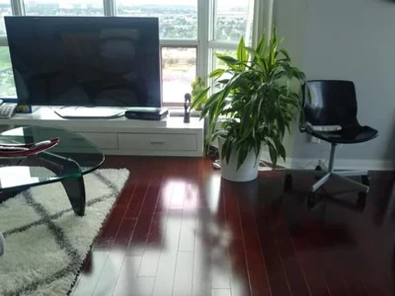 Residential living area cleaned by professional cleaning team